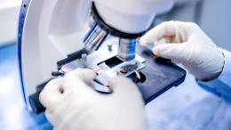 Coronavirus: tutti i malati sviluppano anticorpi. E il Remdesivir funziona