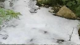 Sversamenti sospetti, sostanza biancastra nelle acque del Fibreno: l'allarme