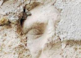 Ferentino, scultura sotto l'intonaco: è mistero. Si scatenano le ipotesi