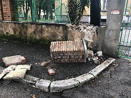 Taglio degli alberi sospeso al liceo "Carducci": la decisione dopo una lettera