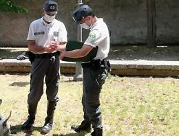 Lotta al randagismo e a chi sporca: subito in azione i volontari della "Kronos"