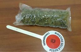 Droga, così agiva il gruppo criminale: quali erano i comuni ciociari coinvolti