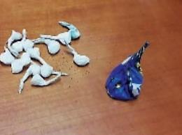 Spaccio di droga: pena sospesa e immediata scarcerazione per gli accusati