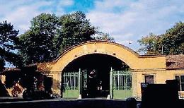 Isola del Liri, Ex Cartiere meridionali: ora Quadrini accelera