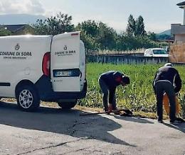 Via Cellaro cade a pezzi: ora le "toppe" vengono messe anche di domenica