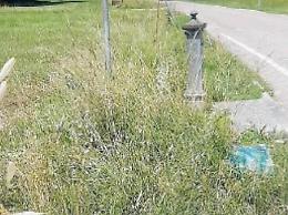 Degrado in via del Sole, la fontana è ormai sommersa dai rifiuti: le proteste