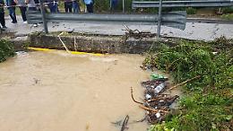 Maltempo, nubifragi e violenti temporali sulla Ciociaria: scatta l'allerta meteo