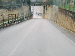 Coniugi annegati in auto nel sottopasso mentre andavano a prendere la nipotina: l'udienza