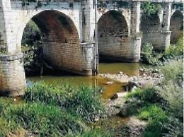I tronchi sotto il ponte “soffocano” il Sacco: rappresentano un grave pericolo