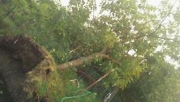 Cassinate, "bomba d'acqua" devastante: ora si contano i danni