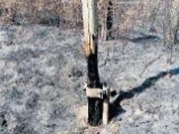 Anagni, incendio ex Polveriera: i pali bruciati sono a rischio crollo