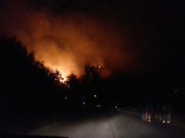 Incendi senza controllo, ambientalisti scatenati: "Bisogna denunciare"