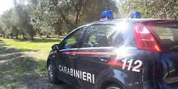 Fetore nell'aria, si teme la presenza di un cadavere: era carne avariata abbandonata