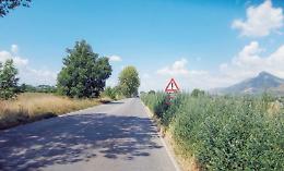 Erba alta sulla Casilina: "Immettersi sulla strada significa rischiare la vita"