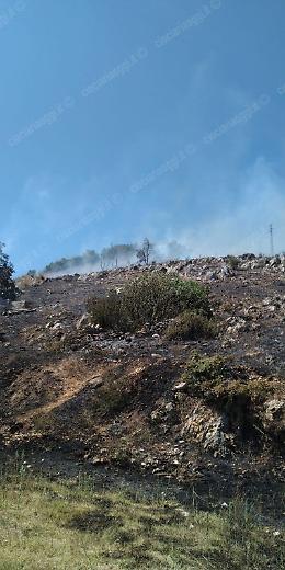Incendio divora la Bagnara: vigili del fuoco al lavoro per domare le fiamme