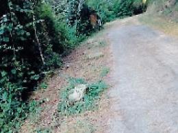 Strada da sistemare e bonifica da avviare: chiesta la messa in sicurezza