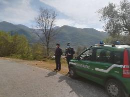 Brucia scatole di cartone e provoca un vasto incendio: denunciato un 33enne