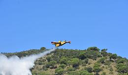 Incendi e boschi devastati: fioccano le prime multe e le prime denunce