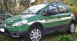 Bar-ristorante in pessime condizioni igienico-sanitarie: scatta la chiusura