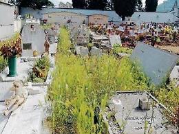 Ladri e vandali scatenati al cimitero: l'amaro sfogo dei cittadini