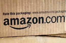 Il gigante ecosostenibile, inizia l'era di Amazon: una speranza per il territorio