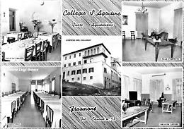 Scuola "Sant'Agostino", da due secoli faro di formazione dei giovani frusinati