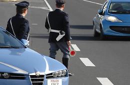 Cannabis nascosta in un bagaglio: trovata durante un controllo su un furgone