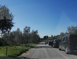 Sora, l'odissea del drive through: centinaia di automobili in fila per il tampone