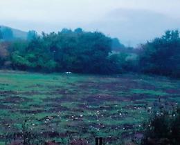 Emergenza cinghiali, colture devastate: un patto tra cacciatori e agricoltori