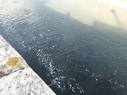 Fiume Liri, torna la schiuma bianca: allarme e rabbia fra i cittadini