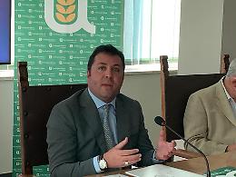 Confagricoltura Frosinone: olio ciociaro di ottima qualità nonostante meno produzione