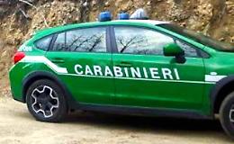 Scarichi illegali, scoperti i responsabili: scatta la denuncia