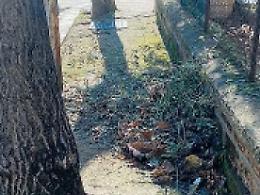 Potano un albero e abbandonano gli sfalci sul marciapiede: passaggio off limits