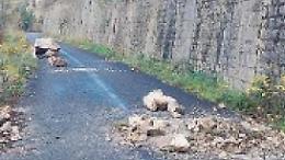 Tracciolino, smottamenti e altri massi caduti: eterno problema senza soluzione