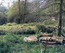 Parco del Gari, le polemiche non si placano: "dove sono finiti gli orti sociali?"