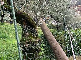 Schianto auto contro palo, riaperta la provinciale tra Castelmassimo e Gli Angeli