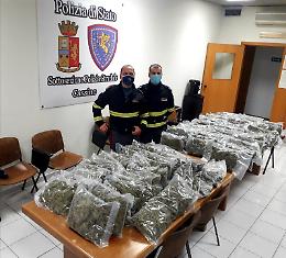 Nasconde oltre 50 kg di marijuana in due piumoni: arrestato corriere della droga
