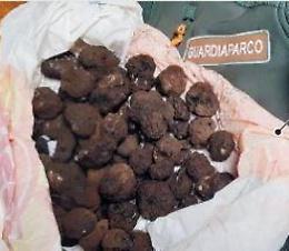 Raccoglitore abusivo di tartufi tradito dalle...orme: denunciato un 56enne