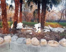 Furioso raid vandalico al parco, distrutto il presepe: sdegno per l'ignobile gesto