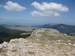 Danni causati dalla fauna selvatica: indennizzi ad allevatori e agricoltori