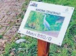 Sora, il comitato di quartiere abbellisce il parco fluviale