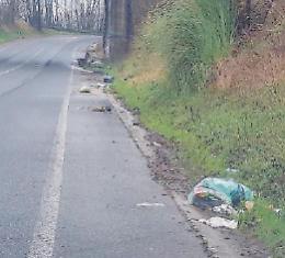 Rifiuti lanciati dalle auto in corsa: furbetti in azione durante le feste