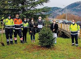 Sora, venti abeti rossi da piantare: un omaggio alla natura