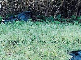 Rifiuti abbandonati lungo il torrente: incivili senza freni dopo le festività