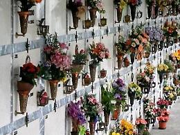 Ancora furti al cimitero, ora rubano anche i fiori per i defunti: rabbia e polemiche