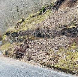 Frana sulla provinciale, massi e alberi si staccano dalla montagna: tragedia sfiorata