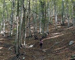 Valcomino, Parco: c'è ma non si vede. Il giallo dell'area contigua