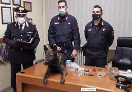Market della droga fatto in casa: arrestati moglie e marito