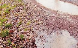 Strade impraticabili e il maltempo peggiora le cose: piovono critiche