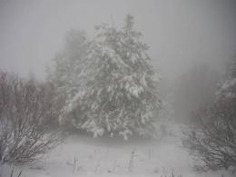 Maltempo, domani scuole chiuse per allerta neve: ecco in quali comuni
